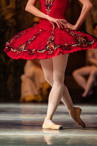 don quixote ballet