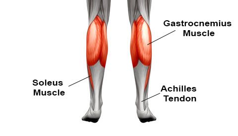 cou de pied, sur le cou de pied, calf muscles